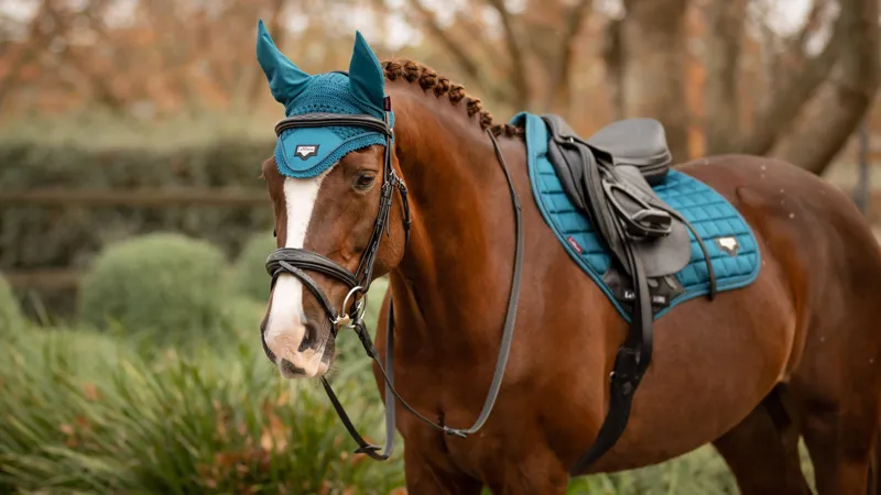 LeMieux Loire Fly Hood - Marine-2