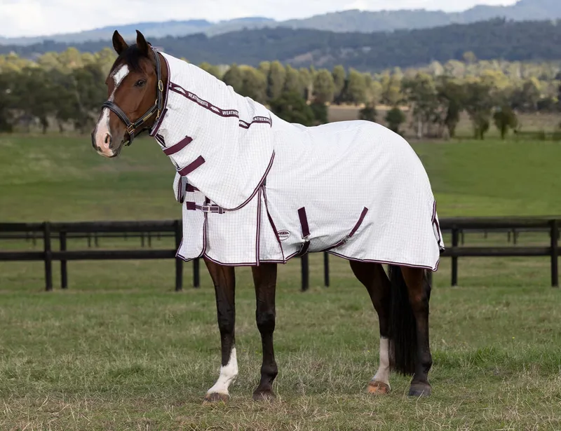 Weatherbeeta Hybrid Seasons Combo Neck Rain Sheet Cob - Navy
