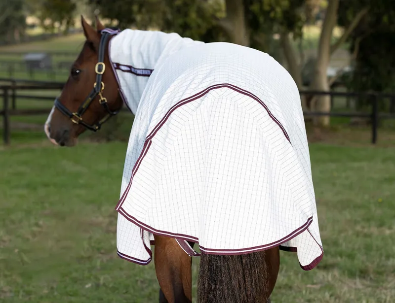 Weatherbeeta Hybrid Seasons Combo Neck Rain Sheet Cob - Navy-3