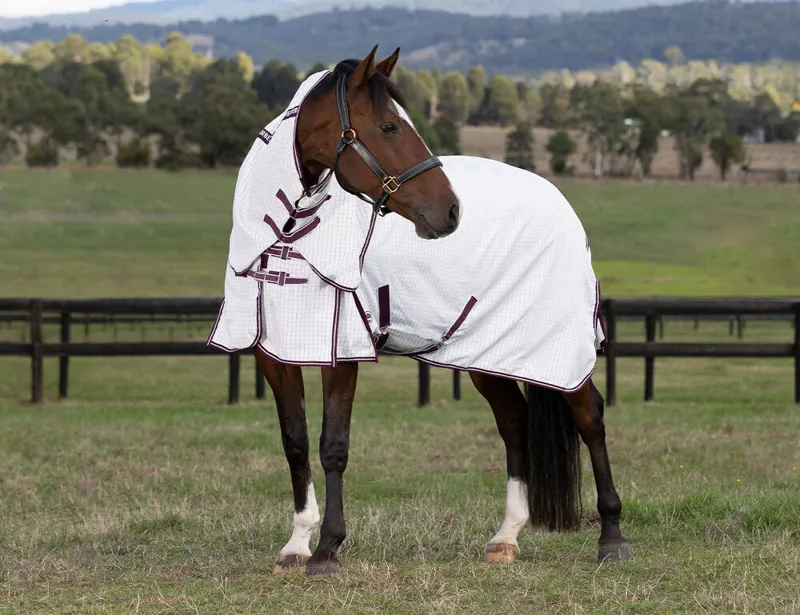 Weatherbeeta Hybrid Seasons Combo Neck Rain Sheet Cob - Navy-5